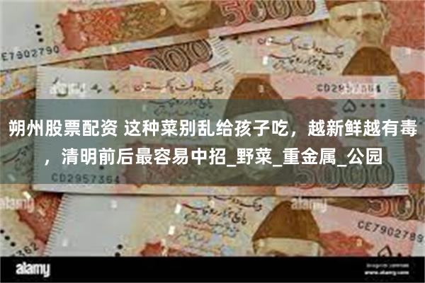 朔州股票配资 这种菜别乱给孩子吃，越新鲜越有毒，清明前后最容易中招_野菜_重金属_公园