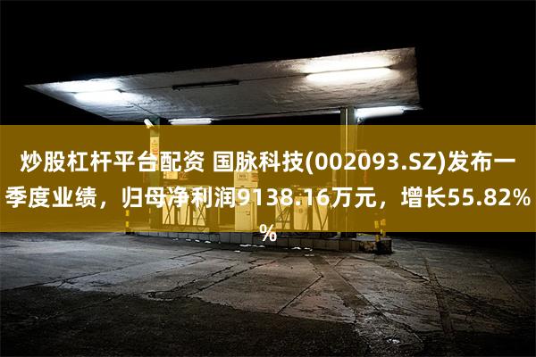 炒股杠杆平台配资 国脉科技(002093.SZ)发布一季度业绩，归母净利润9138.16万元，增长55.82%
