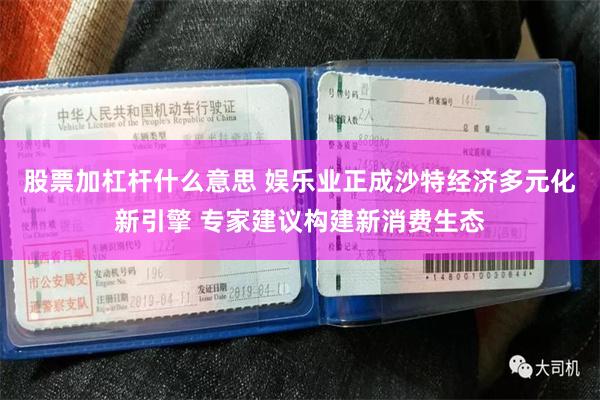 股票加杠杆什么意思 娱乐业正成沙特经济多元化新引擎 专家建议构建新消费生态