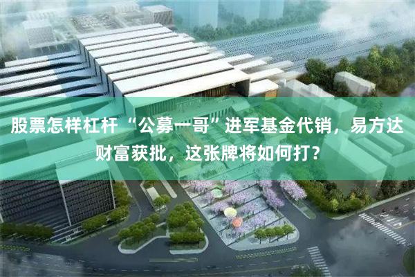 股票怎样杠杆 “公募一哥”进军基金代销，易方达财富获批，这张牌将如何打？
