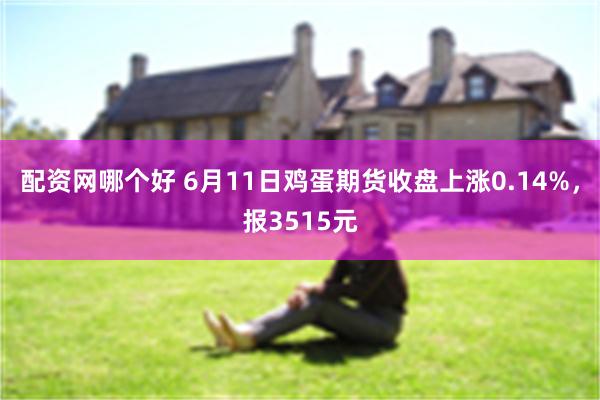 配资网哪个好 6月11日鸡蛋期货收盘上涨0.14%，报3515元