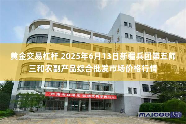 黄金交易杠杆 2025年6月13日新疆兵团第五师三和农副产品综合批发市场价格行情
