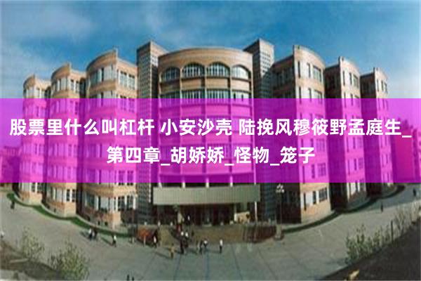 股票里什么叫杠杆 小安沙壳 陆挽风穆筱野孟庭生_第四章_胡娇娇_怪物_笼子