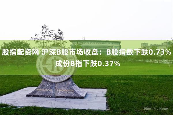 股指配资网 沪深B股市场收盘：B股指数下跌0.73% 成份B指下跌0.37%