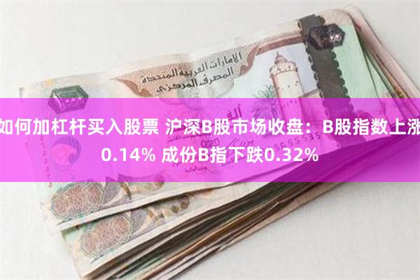 如何加杠杆买入股票 沪深B股市场收盘：B股指数上涨0.14% 成份B指下跌0.32%