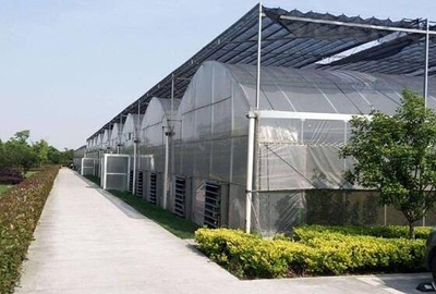 綠色保障，信譽(yù)見證 安慶市陽光板連棟溫室大棚庫存充足之優(yōu)勢解析