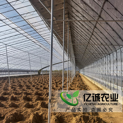 如何選擇優(yōu)質(zhì)的日光溫室建設(shè)廠家？億誠農(nóng)業(yè)專家解析選廠要點(diǎn)